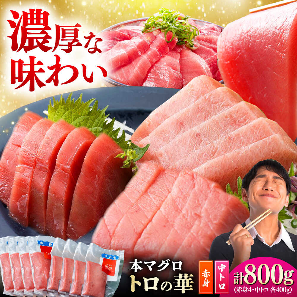 【ふるさと納税】対馬産 本マグロ 800g（赤身400g、中トロ400g） ≪対馬市≫【桐谷商店】 トロの華 対馬 新鮮 マグロ 赤身 トロ 鮪 刺身[WAQ071]