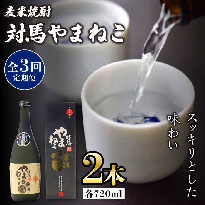 【ふるさと納税】【全3回定期便】麦米焼酎 対馬やまねこ 25度 720ml 2本セット《対馬市》【株式会社サイキ】対馬 酒 贈り物 米焼酎 プレゼント 焼酎[WAX022]