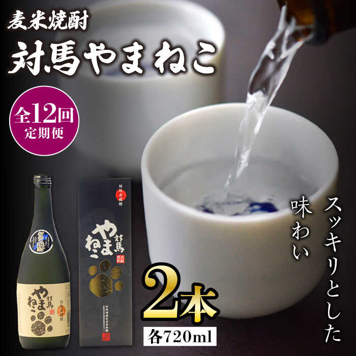 【ふるさと納税】【全12回定期便】麦米焼酎 対馬やまねこ 25度 720ml 2本セット《対馬市》【株式会社サイキ】対馬 酒 贈り物 米焼酎 プレゼント 焼酎[WAX024]｜長崎県対馬市
