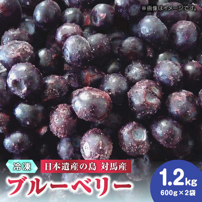 【先行予約】【ふるさと納税】大容量 ブルーベリー 1.2kg  冷凍 【2025年7月上旬以降順次発送】【 さほの里ファーム 】《 対馬市 》 離島 対馬 有機肥料 旬 果物 フルーツ [WBG001] 13000 13000円