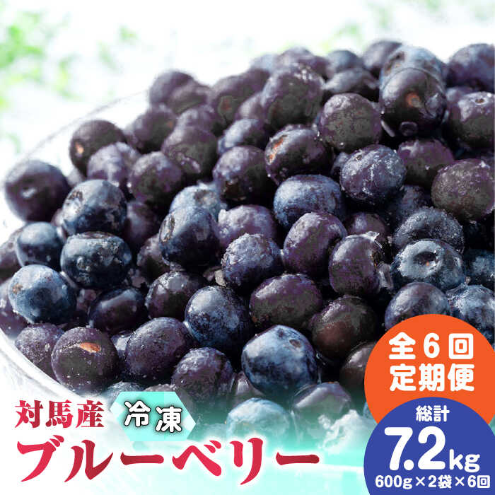 【先行予約】【ふるさと納税】【全6回定期便】大容量 対馬産 ブルーベリー （ 冷凍 ） 1.2kg【2025年7月上旬以降順次発送】【 さほの里ファーム 】《 対馬市 》 離島 対馬  有機肥料 旬 果物 フルーツ[WBG003] 73000 73000円