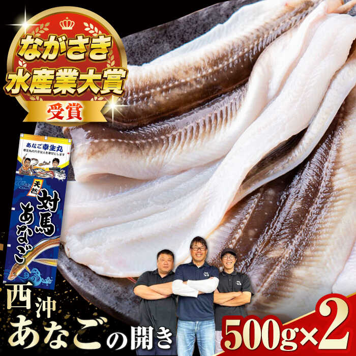 【ふるさと納税】対馬産 天然あなごの開き500g×2《対馬市》【すし処慎一】国産 肉厚 穴子 アナゴ 新鮮 冷凍 白焼き 天ぷら 揚げ物 贈り物[WCO002]