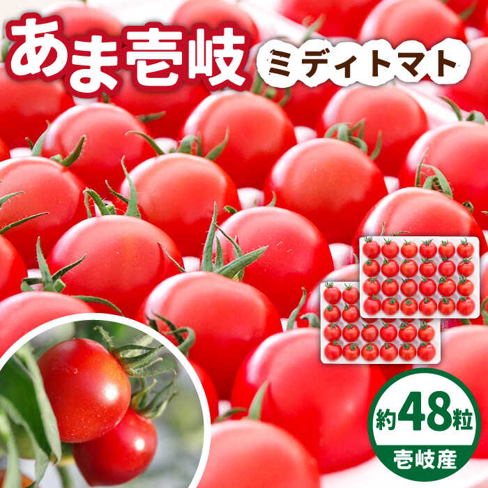 【ふるさと納税】あま壱岐 ミディトマト 約48粒 《壱岐市》【壱岐の潮風】 [JAE009] トマト ミディトマト 野菜 ギフト プレゼント 贈り物 15000 15000円