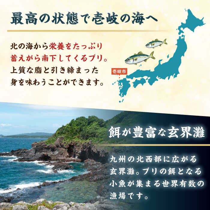 市場 ふるさと納税 寒ブリ ブリトロ入り 若宮水産 2人前《壱岐市》 しゃぶしゃぶ セット