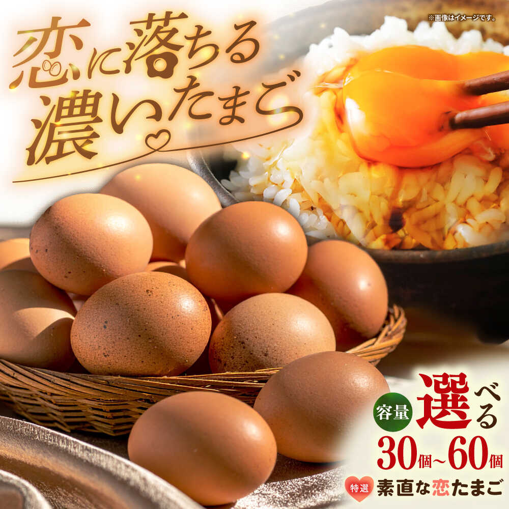 【ふるさと納税】特選 素直な恋たまご 30個 / 50個 / 60個 【選べる容量】《壱岐市》【しまのたまご屋さん】[JAP001] たまご 卵 玉子 鶏卵 国産鶏 もみじ 国産 プレゼント ギフト 冷蔵配送