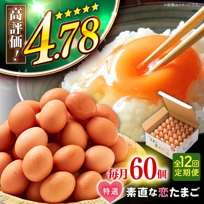 【ふるさと納税】【全12回定期便】特選 素直な恋たまご 60個 《壱岐市》【しまのたまご屋さん】 [JAP005] 卵 たまご 鶏卵 玉子 ギフト 国産 もみじ 卵かけご飯 たまごかけご飯 のし プレゼント ギフト 定期便 156000 156000円 冷蔵配送