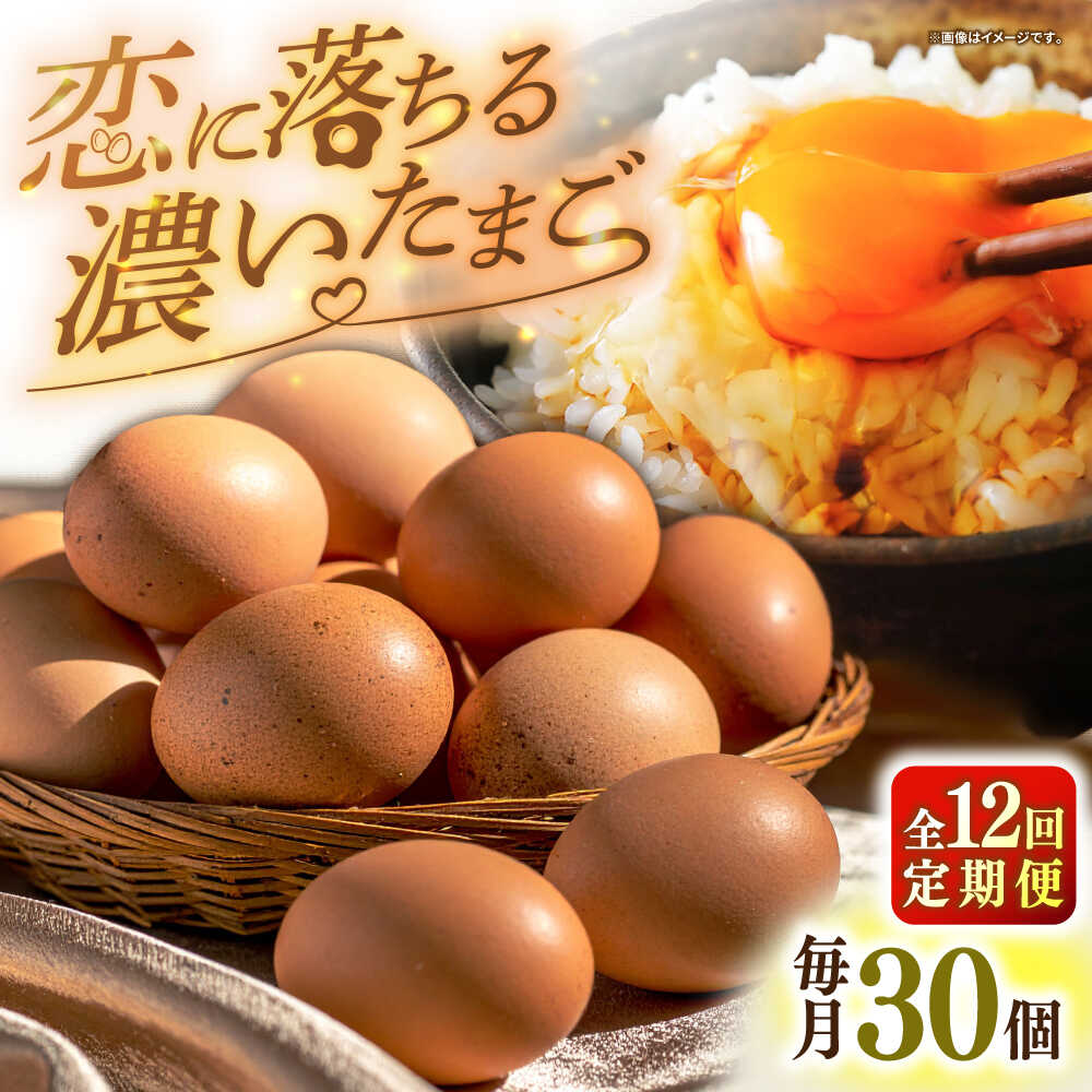 にたまご 楽天市場】【ふるさと納税】特選 素直な恋たまご 30個 / 50個 / 60個