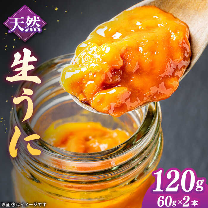 【ふるさと納税】壱岐産 生うに 60g×2本《壱岐市》【馬渡水産】 生ウニ うに ウニ 雲丹 紫うに ムラサキウニ 海鮮 希少 冷蔵配送[JAQ010]
