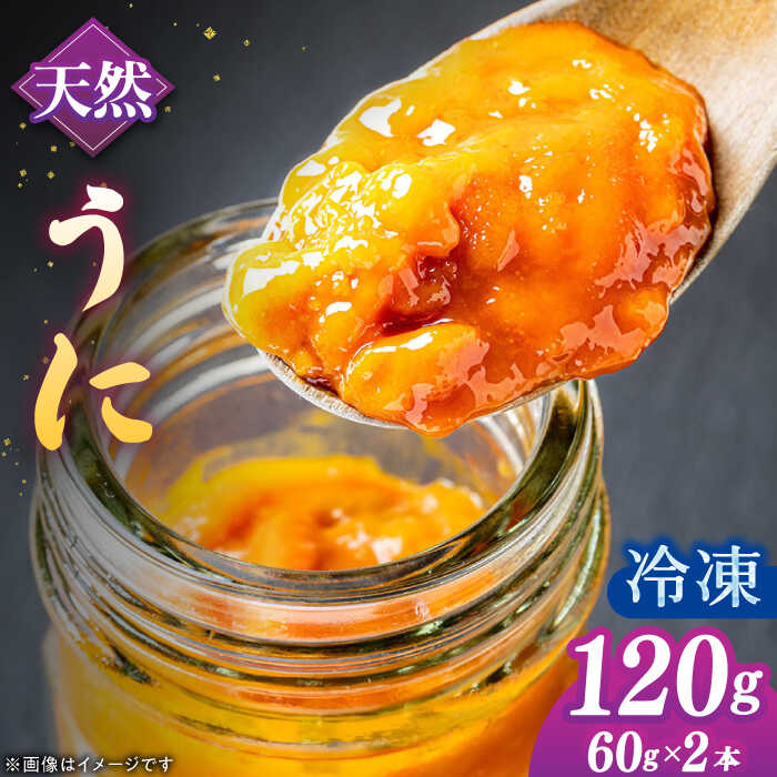 【ふるさと納税】【25年6月以降発送】【予約受付中】壱岐産 冷凍 生うに 60g×2本《壱岐市》【馬渡水産】 生ウニ うに ウニ 雲丹 紫うに ムラサキウニ 海鮮 希少 冷凍配送[JAQ012]