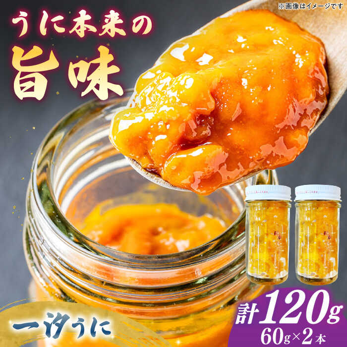 【ふるさと納税】一汐うに 60ｇ×2本 ≪壱岐市≫【馬渡水産】 冷凍配送 雲丹 塩うに ご飯に合う 珍味 希少 お取り寄せ ウニ[JAQ014]