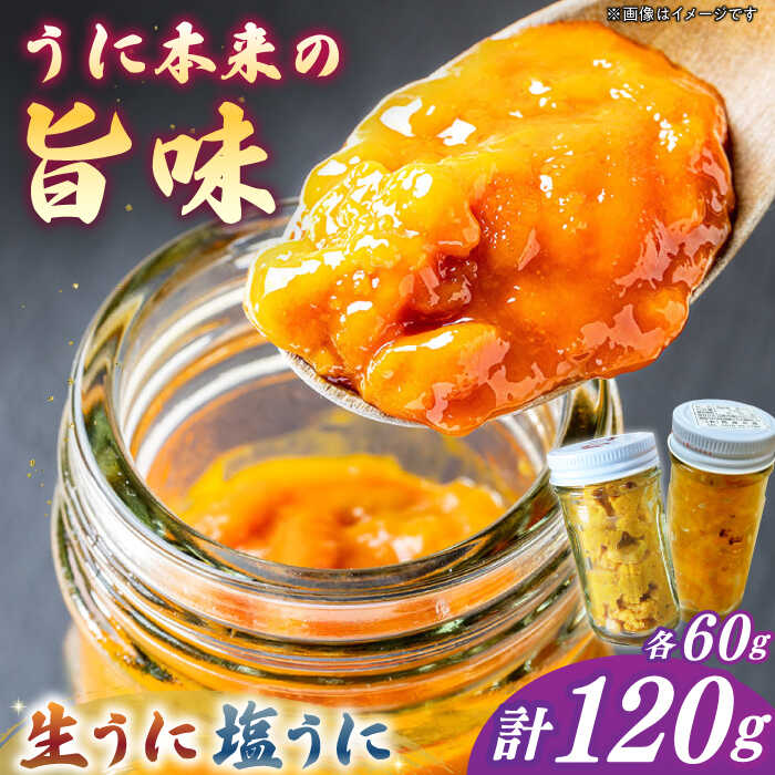 【ふるさと納税】【25年6月以降発送】【予約受付中】生ウニ＆一汐うに 各60g 食べ比べセット《壱岐市》【馬渡水産】 冷凍配送 ウニ 新鮮 食べ比べ 小分け 贈答 プレゼント 海鮮 魚介 希少 [JAQ024]