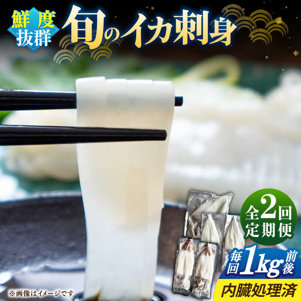 【ふるさと納税】【全2回定期便】旬のイカ刺身1kg前後《壱岐市》【馬渡水産】[JAQ030] いか イカ 烏賊 剣先 アオリ あおり スルメ するめ 刺身 刺し身 お刺身 海鮮 魚介