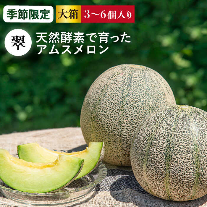 【ふるさと納税】【先行予約】アムスメロン「翠」 3～6玉（大箱）【2025年6月中旬以降順次発送】《壱岐市》【フレッシュメイト壱岐】[JAZ005] メロン めろん アムスメロン 果物 くだもの 果実 フルーツ デザート ギフト 贈答 プレゼント 20000 20000円