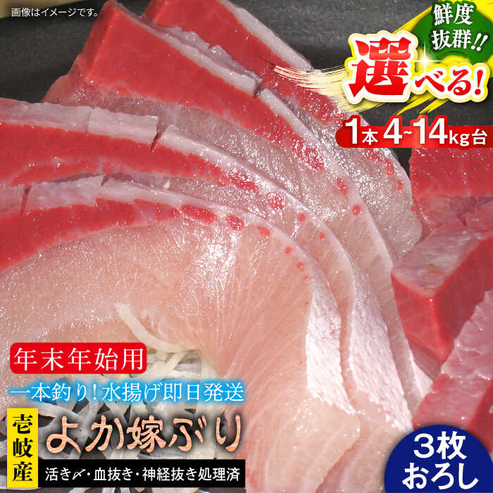 【ふるさと納税】【12/20～翌1/5お届け】壱岐島産天然寒ブリ よか嫁ぶり（選べる4-14キロ台・3枚おろし）《壱岐市》【壱岐島 玄海屋】[JBS141]