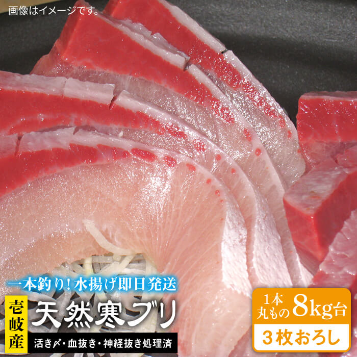 ふるさと納税 壱岐島産天然寒ブリ 8キロ台 3枚おろし 壱岐市 壱岐島 玄海屋 Jbs013 ぶり 寒ぶり ブリ 魚 刺身 しゃぶしゃぶ Ice Org Br