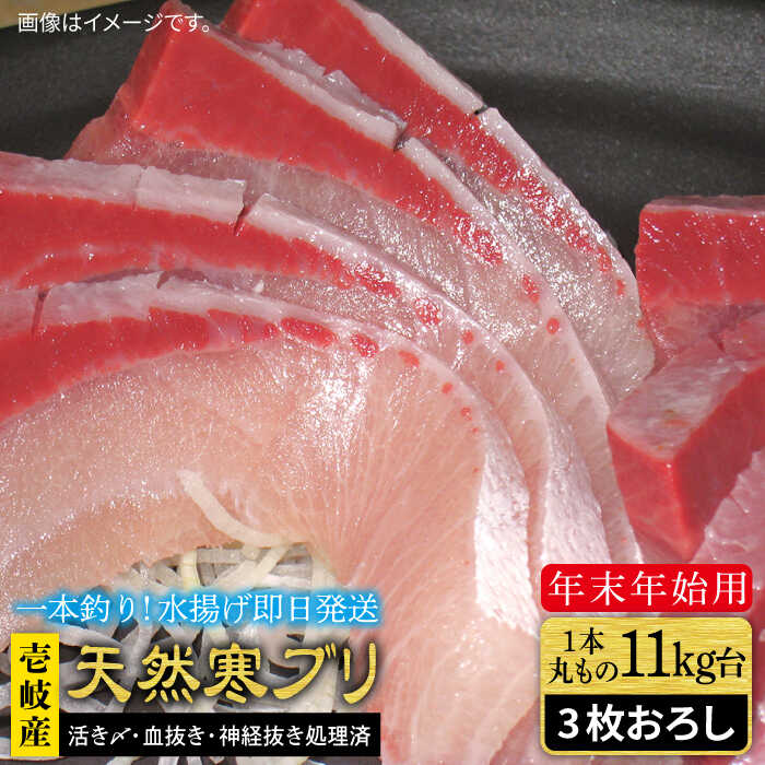 ふるさと納税 お正月用 壱岐島産天然寒ブリ 11キロ台 3枚おろし 壱岐市 壱岐島 玄海屋 Jbs038 ぶり 寒ぶり ブリ 魚 刺身 しゃぶしゃぶ Ice Org Br