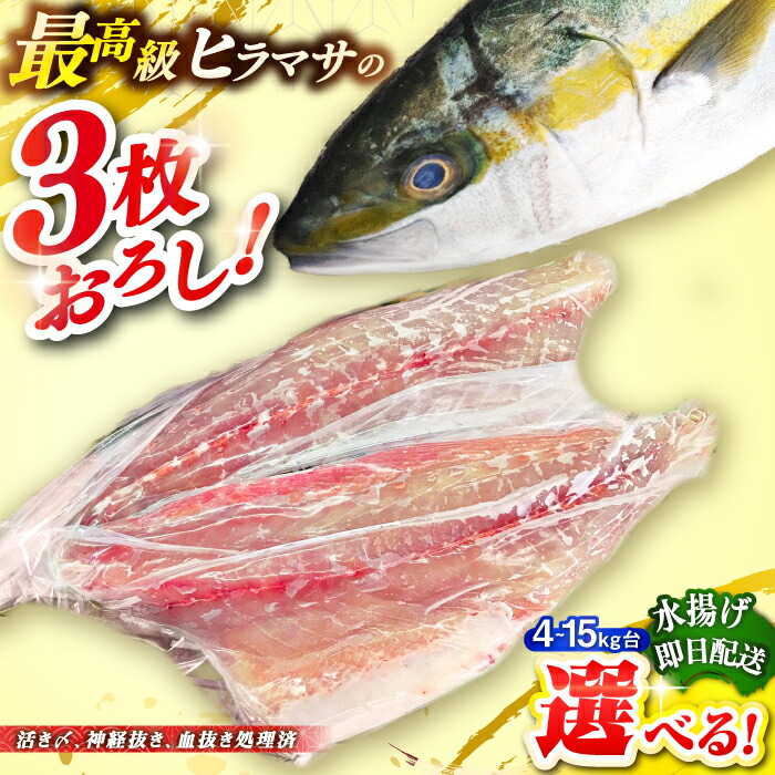 ‼️3日間限定‼️特大天然ヒラマサ7キロ‼️ 3日間限定‼️特大天然ヒラマサ7キロ‼️