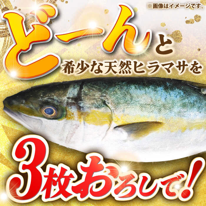 ふるさと納税 壱岐島産天然ヒラマサ 7キロ台 三枚おろし 壱岐市 壱岐島 玄海屋 Jbs080 ヒラマサ 魚 刺身 煮物 カルパッチョ お寿司 Lamainnoire Tattoo Com