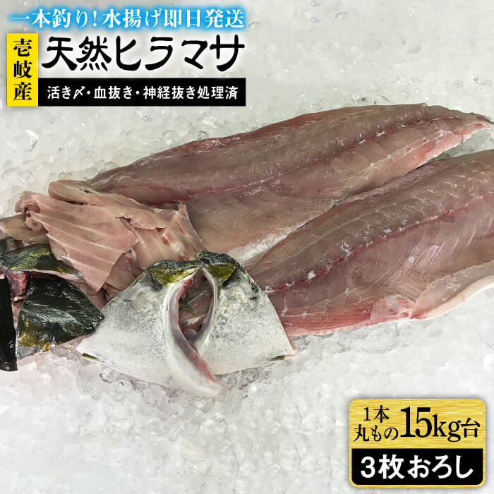 ふるさと納税 壱岐島産天然ヒラマサ 15キロ台 三枚おろし 壱岐市 壱岐島 玄海屋 Jbs084 ヒラマサ 魚 刺身 煮物 カルパッチョ お寿司 Desantarms Pl