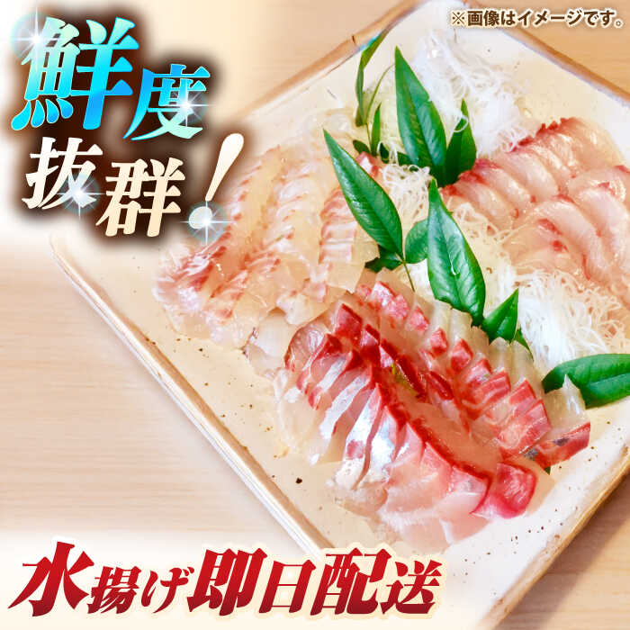 ふるさと納税 壱岐島創作天然ヒラマサ 7キロ台 半身ブロック 壱岐市 壱岐島 玄海屋 Jbs0 ヒラマサ 魚 刺身 煮物 カルパッチョ お寿司 Amploi Fr