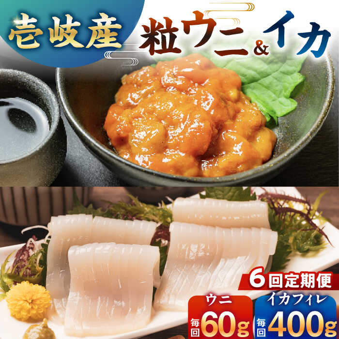 【ふるさと納税】【隔月全6回定期便】【冷凍】壱岐産剣先イカフィレ(80g)×5枚　壱岐産粒うに瓶60g×1本　《壱岐市》　【一支國屋】[JCC018] いか イカ 烏賊 剣先いか 剣先イカ うに ウニ 雲丹 刺し身 刺身 お刺身 魚介 海鮮200000 200000円 20万円