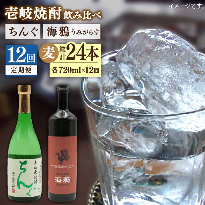 【ふるさと納税】【全12回定期便】海鴉25度とちんぐ25度のセット 《壱岐市》【天下御免】[JDB188] 200000 200000円 20万円[JDB188]｜長崎県壱岐市