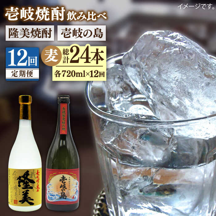 【ふるさと納税】【全12回定期便】隆美焼酎と壱岐の島 25度 720ml 2本入りセット 《壱岐市》【天下御免】[JDB230]｜長崎県壱岐市