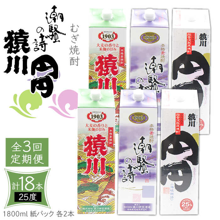 【ふるさと納税】【全3回定期便】 麦焼酎 猿川 潮騒の詩 25度 1800ml 紙パック 各2本 計6本 《壱岐市》【天下御免】 むぎ焼酎 焼酎 麦 酒 お酒 [JDB344] 100000 100000円 10万円