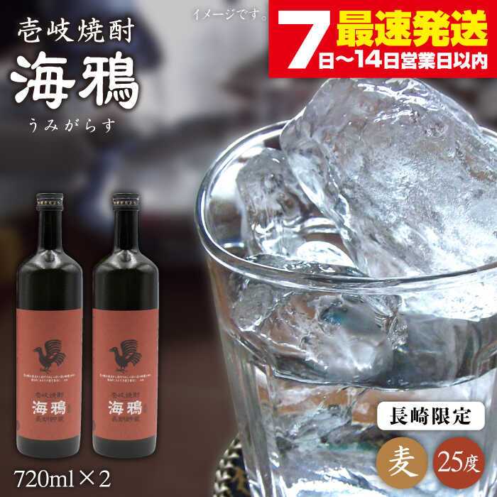 【ふるさと納税】麦焼酎 海鴉 720ml&times;2本（25度）《壱岐市》【天下御免】[JDB034] 焼酎 壱岐焼酎 むぎ焼酎 本格焼酎 お酒 熟成 ギフト プレゼント 地酒 飲み比べ セット 18000 18000円｜長崎県壱岐市