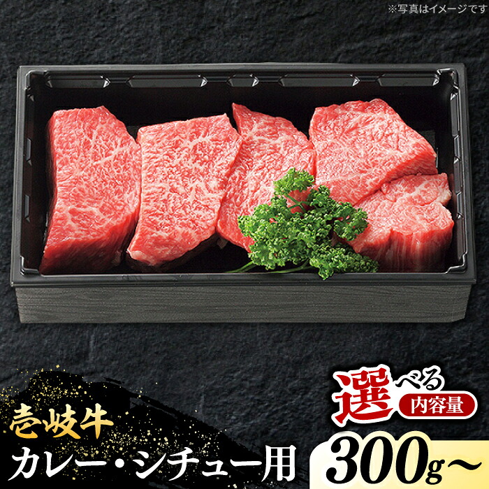【ふるさと納税】＼ぐるナイで紹介／ 特選 壱岐牛 すね肉 300g / 500g（カレー・シチュー・煮込み料理）【選べる内容量】《壱岐市》【太陽商事】 [JDL019] 黒毛和牛 肉 牛肉 赤身 すね肉 ブロック肉 カレー シチュー ギフト ぐるナイ ゴチになります 壱岐牛｜長崎県壱岐市