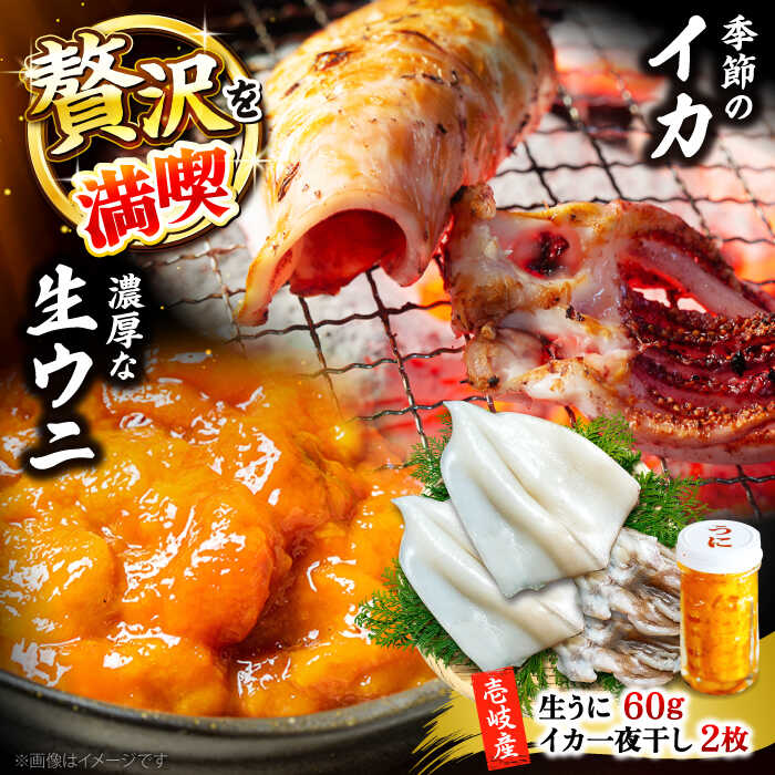 【ふるさと納税】季節のイカ一夜干し2枚＋生ウニ60g 《壱岐市》【合同会社塚元】[JDR025] 19,240円
