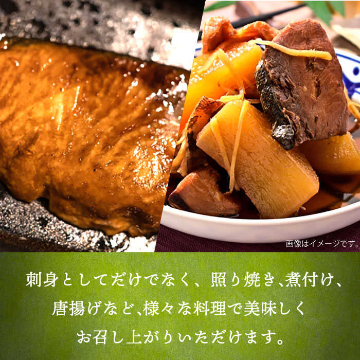 推奨 ヒラマサ フィレ 刺身 1尾 ブロック 1枚 魚 切り身 おつまみ 壱岐市 Jdt008 Fucoa Cl