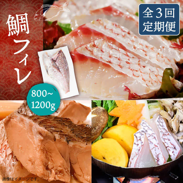 【ふるさと納税】【全3回定期便】鯛フィレ 約800～1200g（1尾・2kg台）《壱岐市》【なかはら】 [JDT033] たい タイ 鯛 フィレ 柵 刺身 刺し身 さしみ 海鮮 魚介 81000 81000円