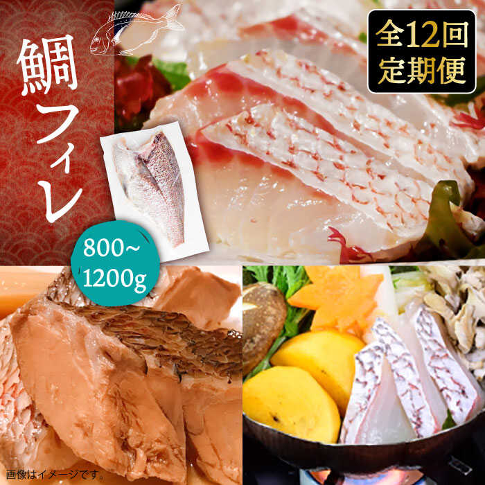 【ふるさと納税】【全12回定期便】鯛フィレ 約800～1200g（1尾・2kg台）《壱岐市》【なかはら】[JDT035] たい タイ 鯛 フィレ 柵 刺身 刺し身 さしみ 海鮮 魚介 300000 300000円 30万円 162,000円