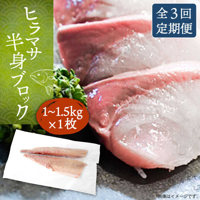 【ふるさと納税】【全3回定期便】ヒラマサフィレ 約1～1.5kg（半身）《壱岐市》【なかはら】[JDT039] ヒラマサ フィレ 柵 刺身 刺身ブロック 刺し身 切身 冷凍 海鮮 海鮮丼 81000 81000円 冷凍配送