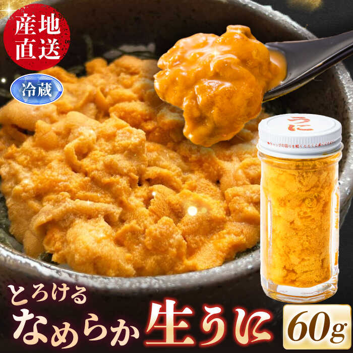 【ふるさと納税】数量限定！壱岐の生うに 60g×1本《壱岐市》【大幸物産】生ウニ 生雲丹 うに ウニ 雲丹 希少 産地直送 冷蔵配送 17000円 17000 [JEH026]