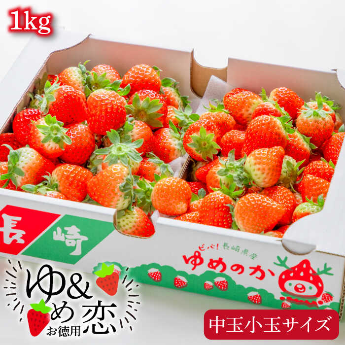 【ふるさと納税】【先行予約】お徳用 バラ詰め イチゴ 1kg （ゆめのか・恋みのり） 【2025年2月以降順次発送】《壱岐市》【蒼花】[JEO002] いちご イチゴ 苺 フルーツ 果物 スムージー ジャム ゆめのか 恋みのり セット 食べ比べ 冷蔵 訳あり 10000 10000円 7千円 冷蔵配送