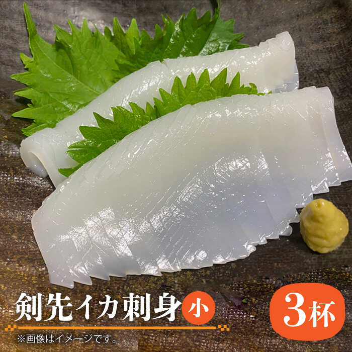 【ふるさと納税】剣先イカ 刺身（小）3杯《壱岐市》【株式会社マルショウ】[JEW002] いか イカ 剣先いか セット おつまみ 新鮮 海鮮丼 刺し身 12000 12000円 冷凍配送