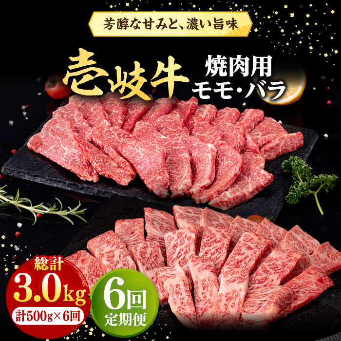 【ふるさと納税】【全6回定期便】＼ぐるナイで紹介／ 壱岐牛 焼肉用 モモ・バラ（カルビ） 500g《壱岐市》【株式会社イチヤマ】[JFE074] 黒毛和牛 A5ランク 定期便 肉 牛肉 焼肉 焼き肉 モモ バラ カルビ BBQ 赤身 肉定期便 100000 100000円 10万円｜長崎県壱岐市