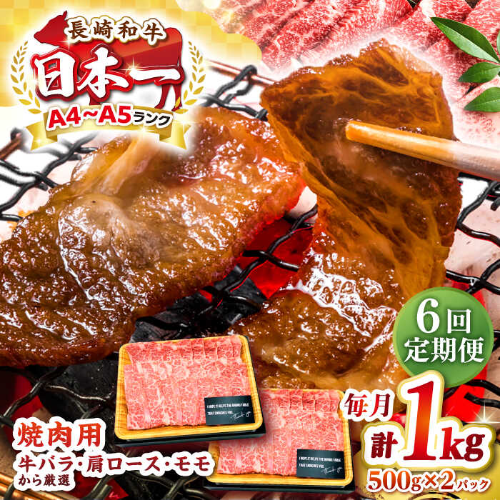 【ふるさと納税】【全6回定期便】【A4～A5ランク】長崎和牛 焼肉用 1kg（500g×2パック）《壱岐市》【株式会社MEAT PLUS】肉 牛肉 黒毛和牛 焼き肉 焼肉 焼肉用 ギフト 贈答用 ご褒美 冷凍配送 A4 A5[JGH113] 100000 100000円 10万円