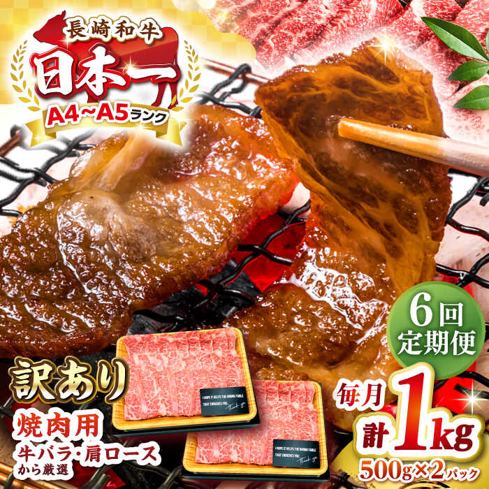 【ふるさと納税】【全6回定期便】【訳あり】【A4～A5ランク】長崎和牛 焼肉切り落とし 1kg（500g×2パック）(肩ロース・バラ）《壱岐市》【株式会社MEAT PLUS】 肉 牛肉 黒毛和牛 焼き肉 焼肉 焼肉用 ギフト 贈答用 冷凍配送 A4 A5[JGH121] 100000 100000円 10万円