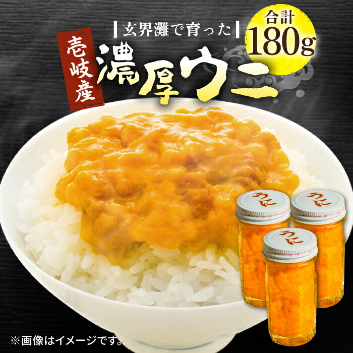 【ふるさと納税】壱岐産 濃厚 ウニ 60g ×3本《壱岐市》【合同会社塚元】ムラサキウニ 海産物 海鮮 うに 雲丹 珍味 [JDR023] 41000 41000円 のし プレゼント ギフト 冷凍配送