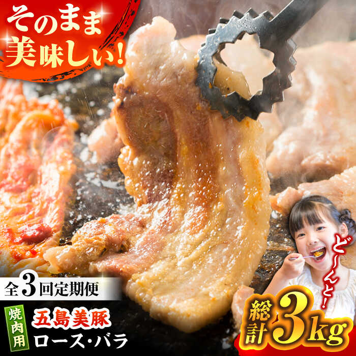 期間限定特価品 味付け豚肉 美豚ちゃん300g×3個 PEL001