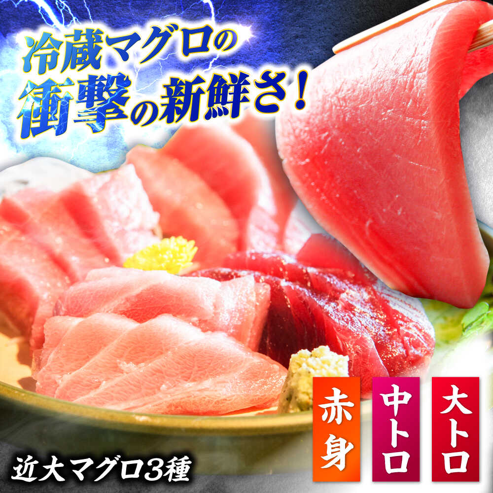 【ふるさと納税】【冷蔵でお届け】長崎県五島産 近大マグロ約500g (大トロ・中トロ・赤身) 五島市/五島ヤマフ [PAK010] まぐろ 刺身 さしみ お取り寄せ 高級 セット 海鮮 魚介 盛り合わせ 養殖 寿司 生 父の日