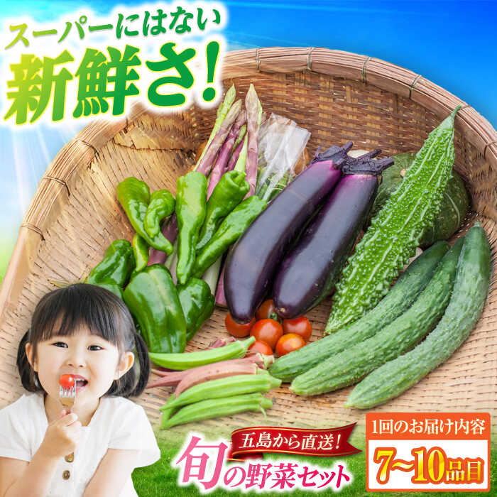【ふるさと納税】旬の野菜セット（7-10品目10kg未満）五島市/やぁしゃ便 [PBG003] 野菜 やさい 詰め合わせ セット