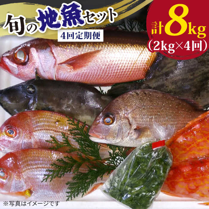 【ふるさと納税】【全4回定期便】旬の地魚セット（エラ・内臓処理済） 五島市 / 五島FF [PBJ002] 鮮魚 魚介 刺身 魚 旬
