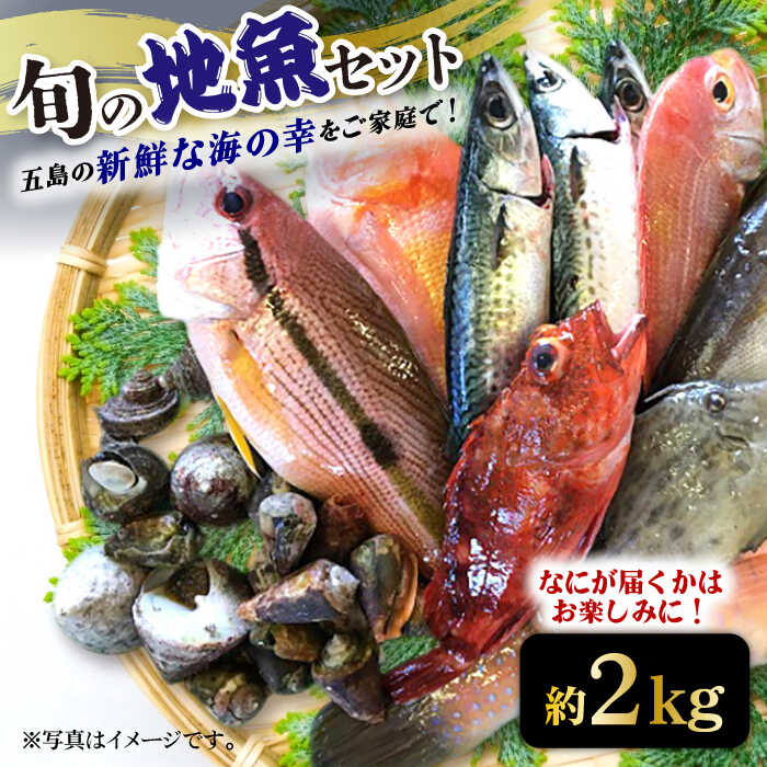 楽天市場】【ふるさと納税】旬の地魚セット(ウロコ・エラ・内臓 楽天市場】【ふるさと納税】旬の地魚セット(ウロコ・エラ・内臓