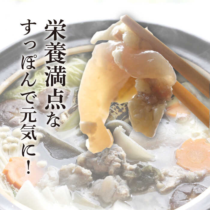 お得セット 天然すっぽん 島根県産 300g 2~3人前 鍋用 カット済み つゆ付き 送料無料 高級 簡単調理 国産 スッポン なべ 丸 コラーゲン  美容健康 ギフト 食品 すっぽん料理 プレゼント 長寿祝い 誕生日 快気祝い お取り寄せ 健康 格安 激安 大竹屋