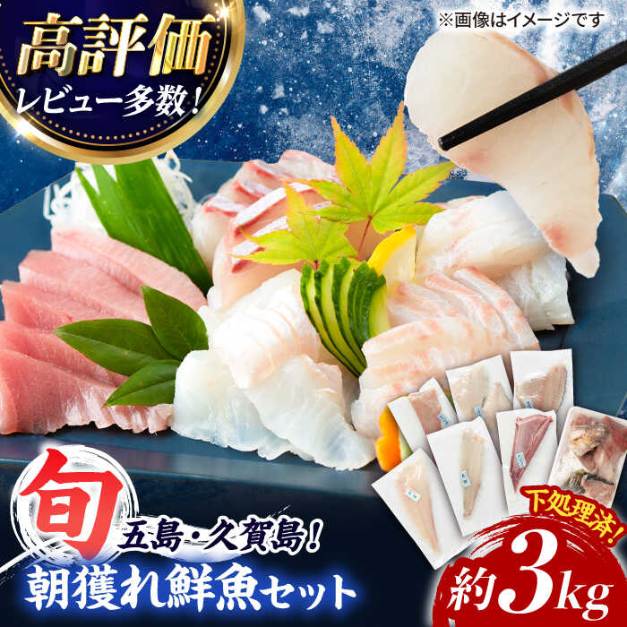 【ふるさと納税】【下処理済！真空パックでお届け】五島産 高級 朝獲れ 鮮魚 ( 下処理済 ) 約3kg セット 五島市/マルセイ水産 [PBT001] 魚 詰め合わせ 刺身 五島 久賀島 海鮮 セット 旬 さかな さしみ