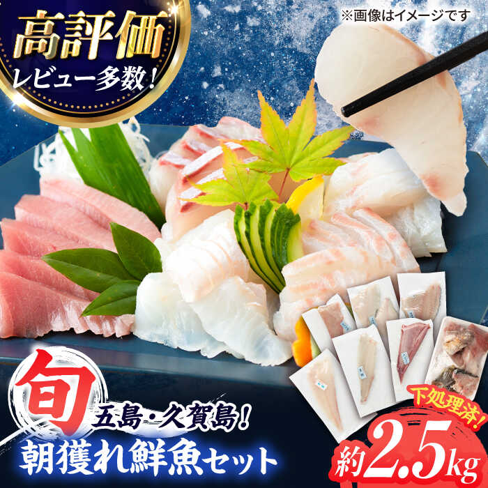 【ふるさと納税】【下処理済！真空パックでお届け】五島産 高級 朝獲れ 鮮魚 ( 下処理済 ) 約2.5kg セット  五島市/マルセイ水産 [PBT002] 魚 詰め合わせ 刺身 五島 久賀島 海鮮 セット 旬 さかな さしみ